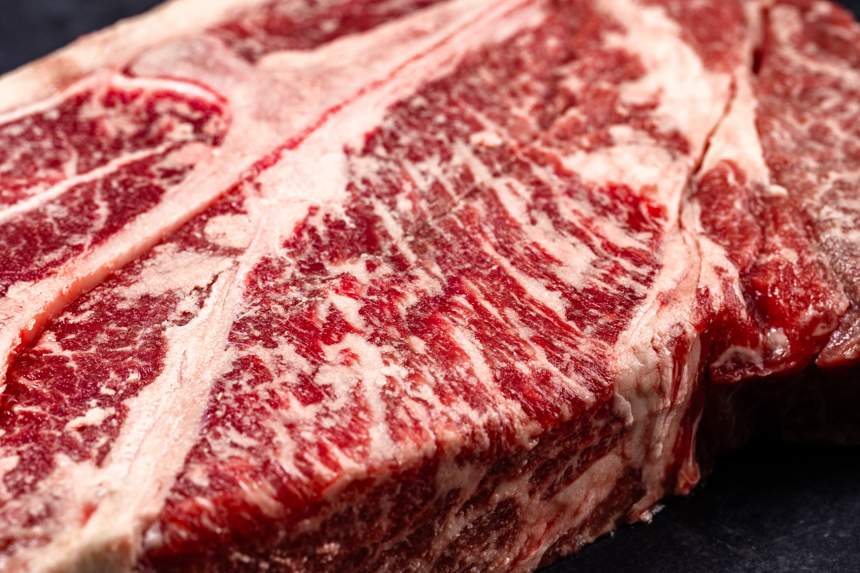 T-Bone Steak – 7 Foot